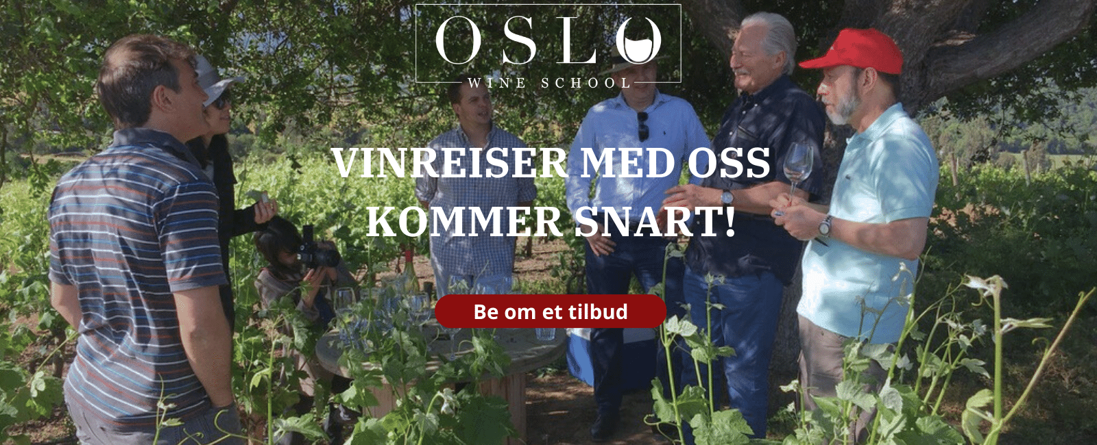 Vinkurs lær om vin vinskole vinsmaking wset vin oslo wine course